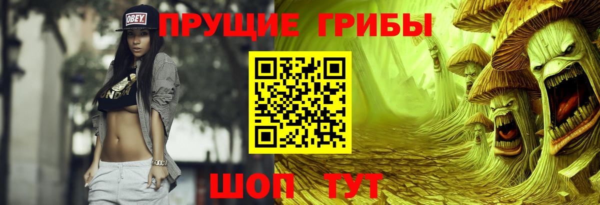 Псилоцибиновые грибы ЛСД  Вход с VPN  Горно-Алтайск 