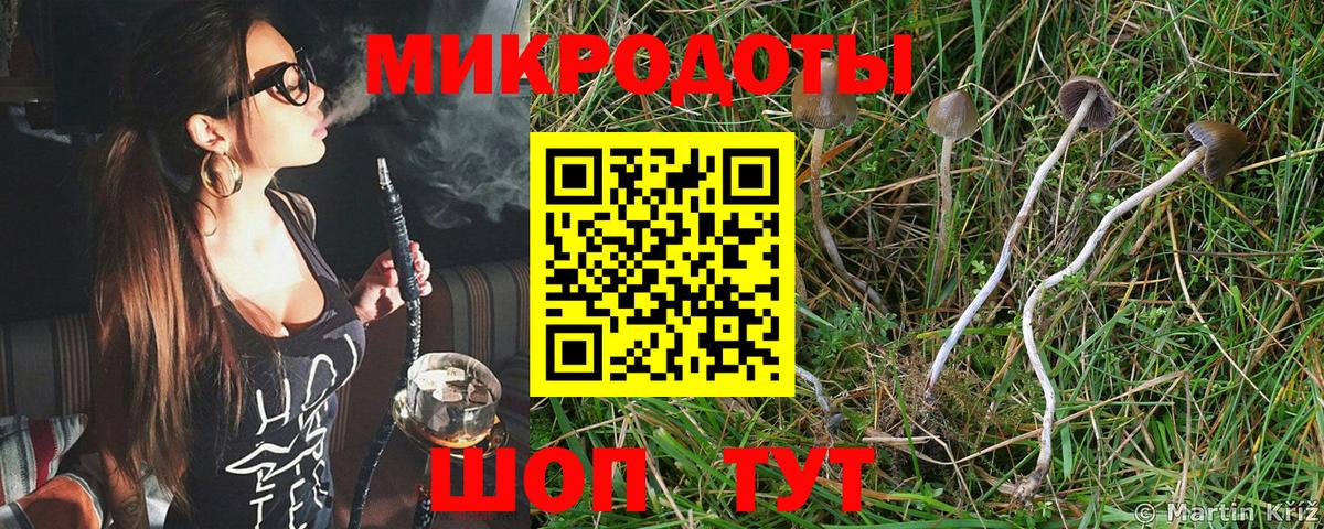 Псилоцибиновые грибы GOLDEN TEACHER Горно-Алтайск
