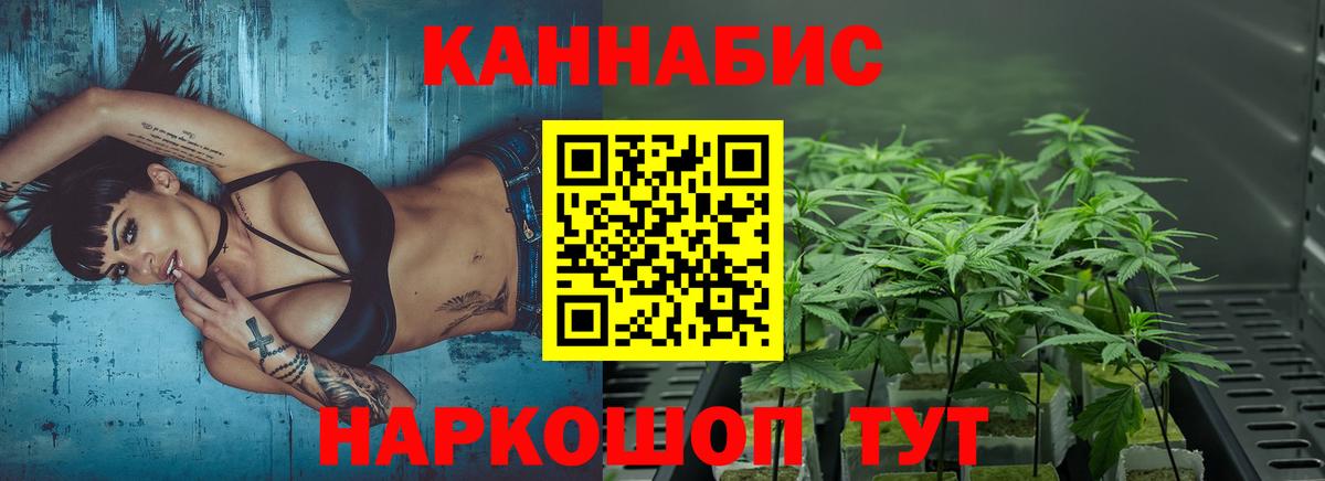 Бошки Шишки ГИДРОПОН Горно-Алтайск